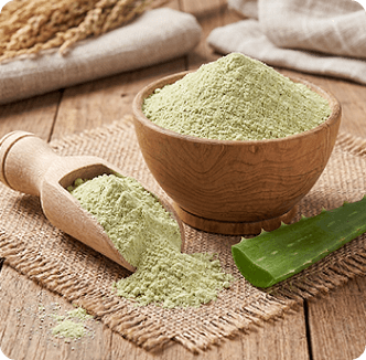 Kathazhai Podi (Aloe Vera)