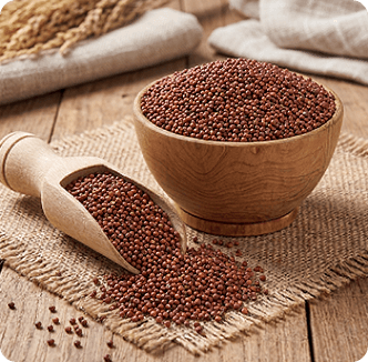 Ragi (Finger Millet)