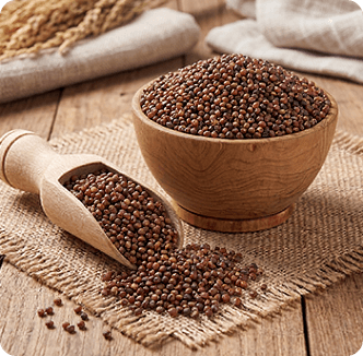 Varagu (Kodo Millet)
