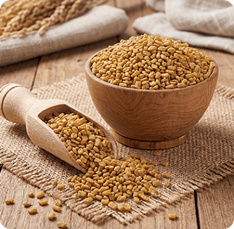 Fenugreek Seeds