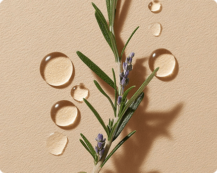 Why Is Rosemary Oil Trending in Hair Care?